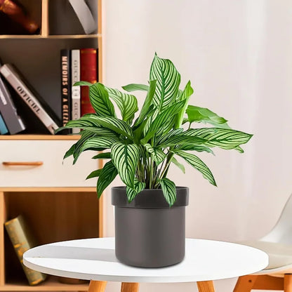 Secret planter safe